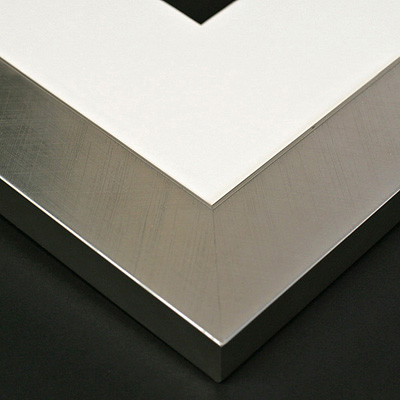 brushed silver frame sample