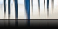 Panoramic Visions - Major New Exhibition for 2010