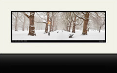 First Snow, Green Park, London