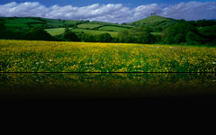 Dorset Hills, England