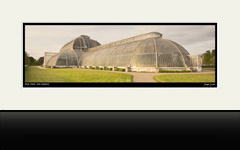 Palm House, Kew Gardens