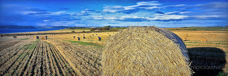Fields of Plenty, Scotland