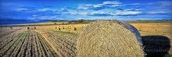 Fields of Plenty, Scotland